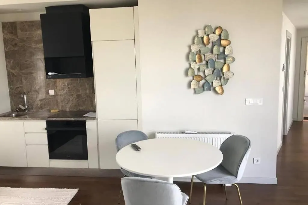 公寓 G Yoo Residence 伊斯坦布尔
